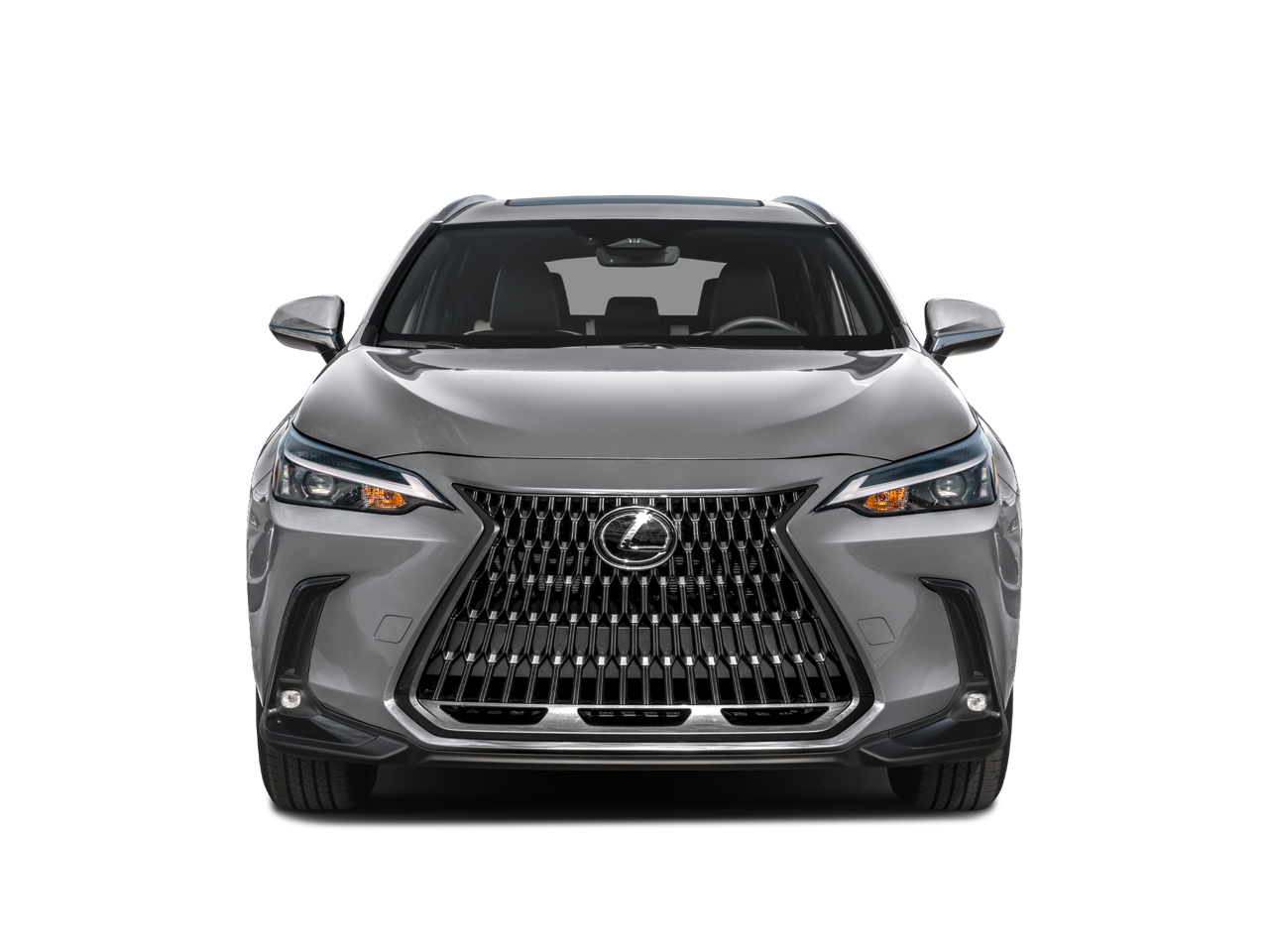 2024 Lexus NX 250 Base