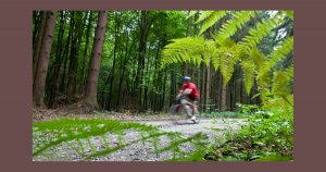 Biking trails | Drive Direct in Columbus, OH