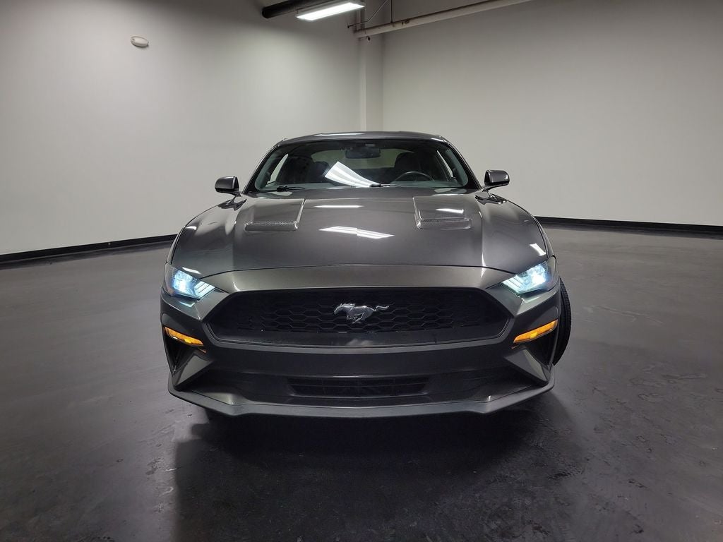 2019 Ford Mustang EcoBoost
