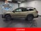 2025 Subaru Outback Onyx Edition XT