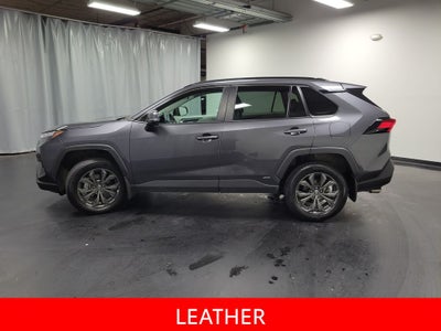 2025 Toyota RAV4 Hybrid XLE Premium