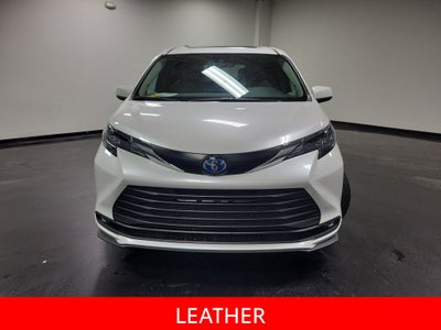 2025 Toyota Sienna XLE 7 Passenger