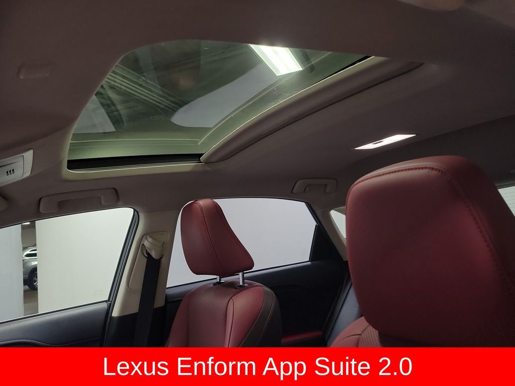 2019 Lexus NX 300h