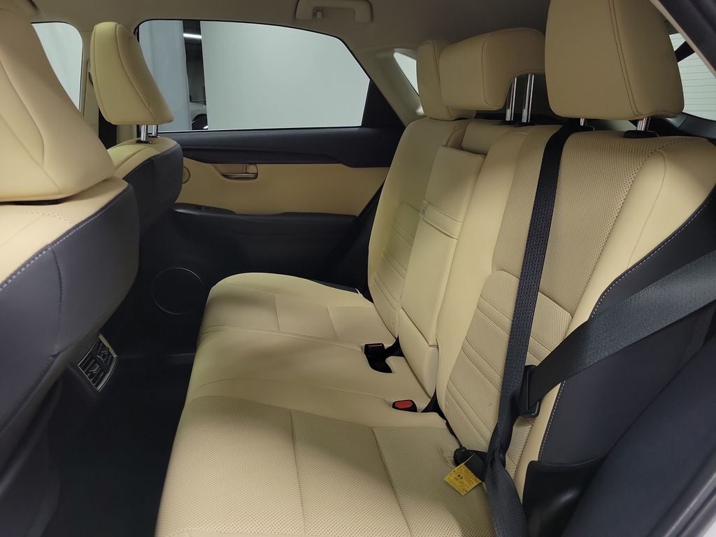 2020 Lexus NX 300h